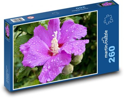 Ibišok - kvet - Puzzle 260 dielikov, rozmer 41x28,7 cm