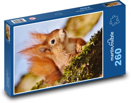 Squirrel - Puzzle 260 pieces, size 41x28.7 cm 
