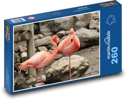 Plameňák - pták - puzzle 260 dílků