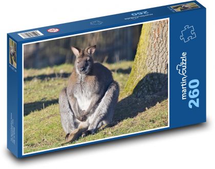 Kangaroo - Puzzle 260 pieces, size 41x28.7 cm 