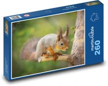 Wiewiórka drzewna Puzzle 260 elementów - 41x28,7 cm