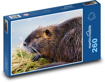 Nutrie - Puzzle 260 dílků, rozměr 41x28,7 cm