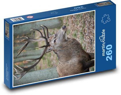 Jeleň - Puzzle 260 dielikov, rozmer 41x28,7 cm