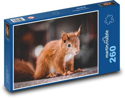 Rezavá veverka - Puzzle 260 dílků, rozměr 41x28,7 cm