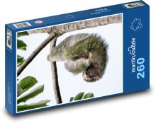 Leniwiec Puzzle 260 elementów - 41x28,7 cm