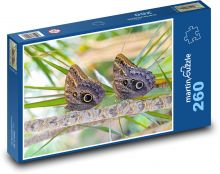 Motýli  Puzzle 260 - 41x28,7 cm