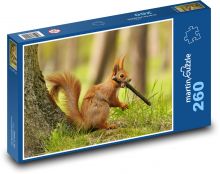 Wiewiórka Puzzle 260 elementów - 41x28,7 cm