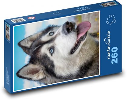 Pies - Puzzle 260 elementów, rozmiar 41x28,7 cm