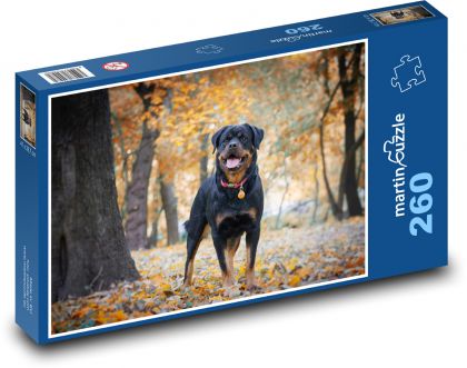 Rotvajler - pes - Puzzle 260 dielikov, rozmer 41x28,7 cm