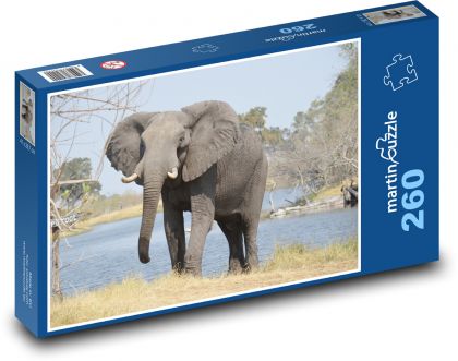Elefanten - Puzzle - 260 Teile