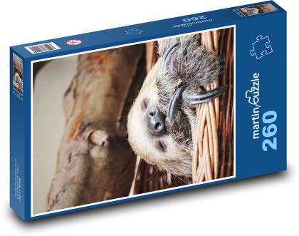 Sleeping sloth - Puzzle 260 pieces, size 41x28.7 cm 