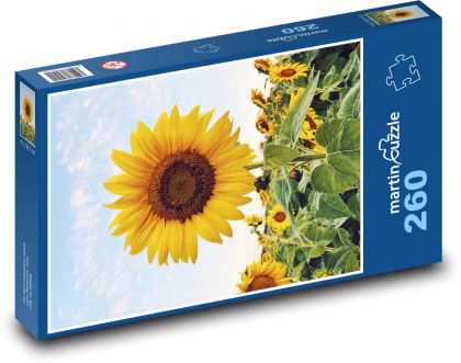 Slnečnica - Puzzle 260 dielikov, rozmer 41x28,7 cm