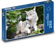 Vlk Puzzle 260 dílků - 41 x 28,7 cm