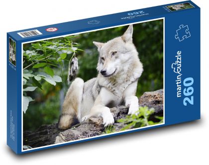 Vlk - Puzzle 260 dílků, rozměr 41x28,7 cm