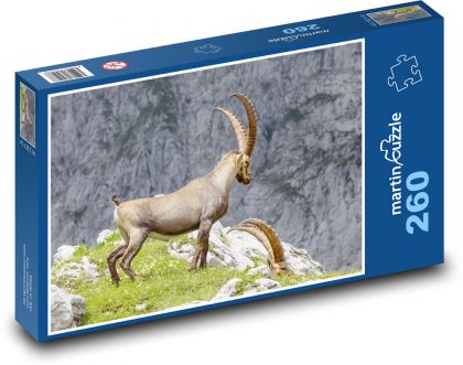 ibex - Puzzle 260 pieces, size 41x28.7 cm 