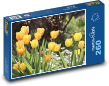 Žluté tulipány Puzzle 260 - 41x28,7 cm