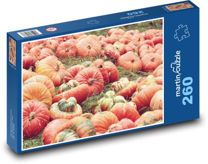 Tekvica - úroda - Puzzle 260 dielikov, rozmer 41x28,7 cm