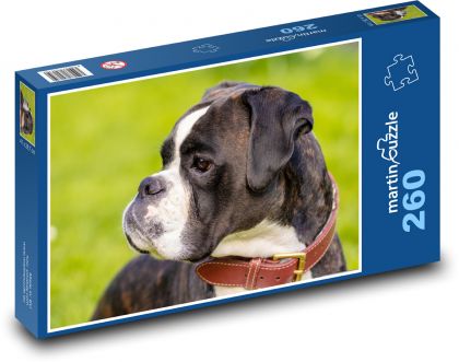 Pes - Boxer - Puzzle 260 dielikov, rozmer 41x28,7 cm