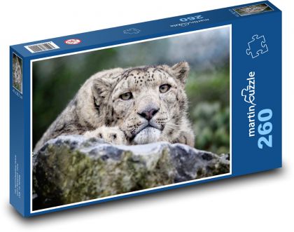 Leopard - Puzzle 260 dielikov, rozmer 41x28,7 cm
