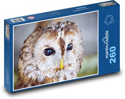 Owl - bird - Puzzle 260 pieces, size 41x28.7 cm 