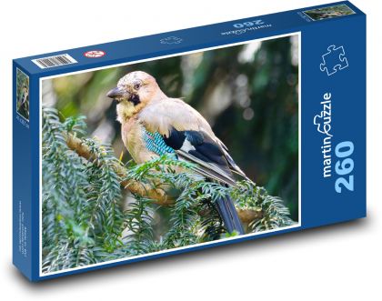 Jojka - vták - Puzzle 260 dielikov, rozmer 41x28,7 cm