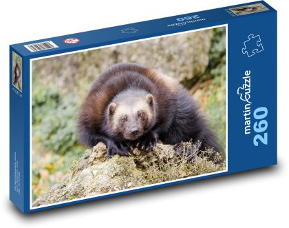 Genus Gulo - Puzzle 260 pieces, size 41x28.7 cm 