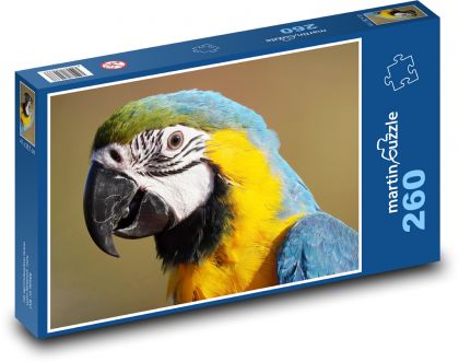 Papuga - ptak - Puzzle 260 elementów, rozmiar 41x28,7 cm