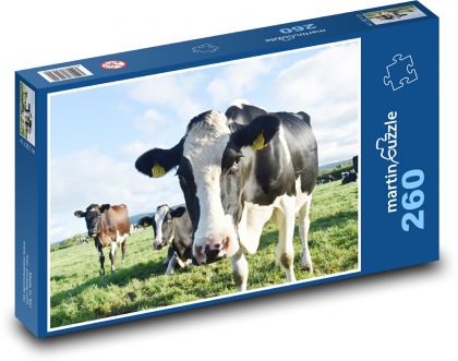 Cows on meadow. - Puzzle 260 pieces, size 41x28.7 cm 