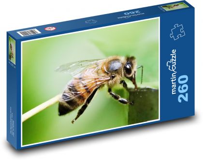 Honey bee - Puzzle 260 pieces, size 41x28.7 cm 