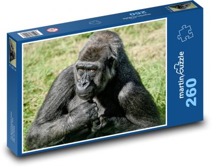Gorilla - Puzzle 260 pieces, size 41x28.7 cm 