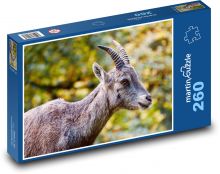 Kozorožec - koza Puzzle 260 dielikov - 41 x 28,7 cm 
