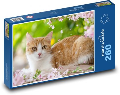 Európska mačka - Puzzle 260 dielikov, rozmer 41x28,7 cm