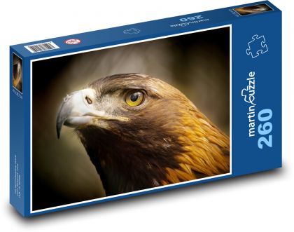 Eagle - a bird of prey - Puzzle 260 pieces, size 41x28.7 cm 