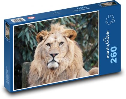 Lev s velkou hřívou - puzzle 260 dílků
