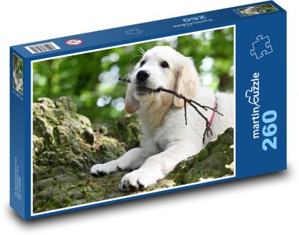 Golden Retriever - Welpe - Puzzle - 260 Teile
