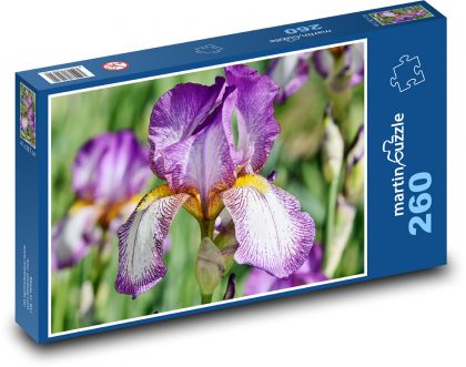Iris - Flower - Puzzle 260 pieces, size 41x28.7 cm 