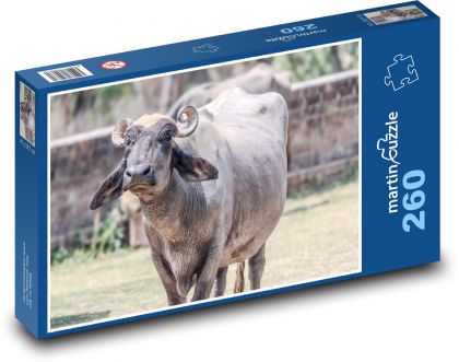 Buvol - puzzle 260 dílků