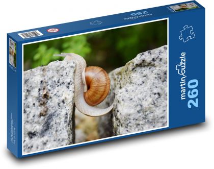 Snail - Puzzle 260 pieces, size 41x28.7 cm 