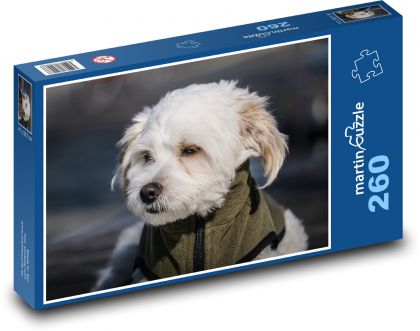 Malý pes - puzzle 260 dílků