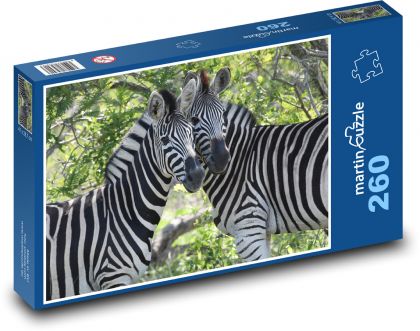 Zebra - Jihoafrická republika - Puzzle 260 dílků, rozměr 41x28,7 cm