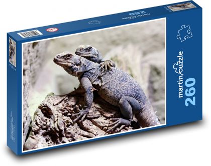 Ještěrky - Puzzle 260 dílků, rozměr 41x28,7 cm