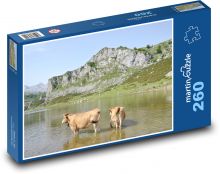 Krávy - jezero Puzzle 260 dílků - 41 x 28,7 cm
