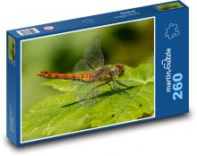 Vážka - hmyz Puzzle 260 - 41x28,7 cm