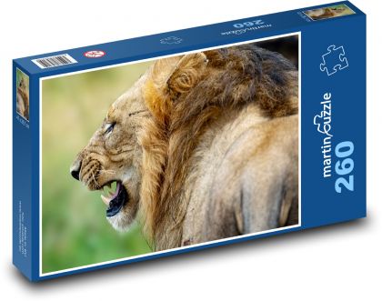 Lion - big cat - Puzzle 260 pieces, size 41x28.7 cm 