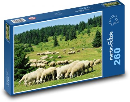 Stádo ovcí - puzzle 260 dílků