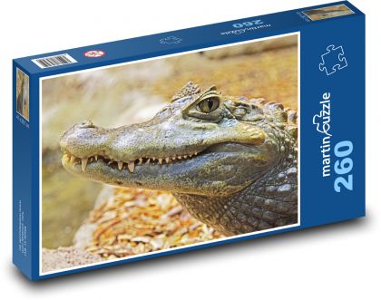 Aligátor - puzzle 260 dílků
