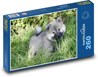 Eurázijskejšie šteniatko - Puzzle 260 dielikov, rozmer 41x28,7 cm