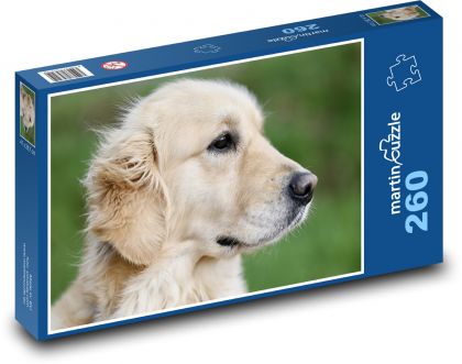 Zlatý retriever - pes - Puzzle 260 dielikov, rozmer 41x28,7 cm