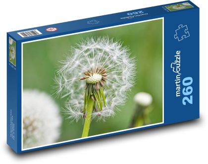 Púpava - kvet - Puzzle 260 dielikov, rozmer 41x28,7 cm