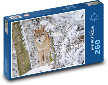 Wolf - Mongolia - Puzzle 260 pieces, size 41x28.7 cm 